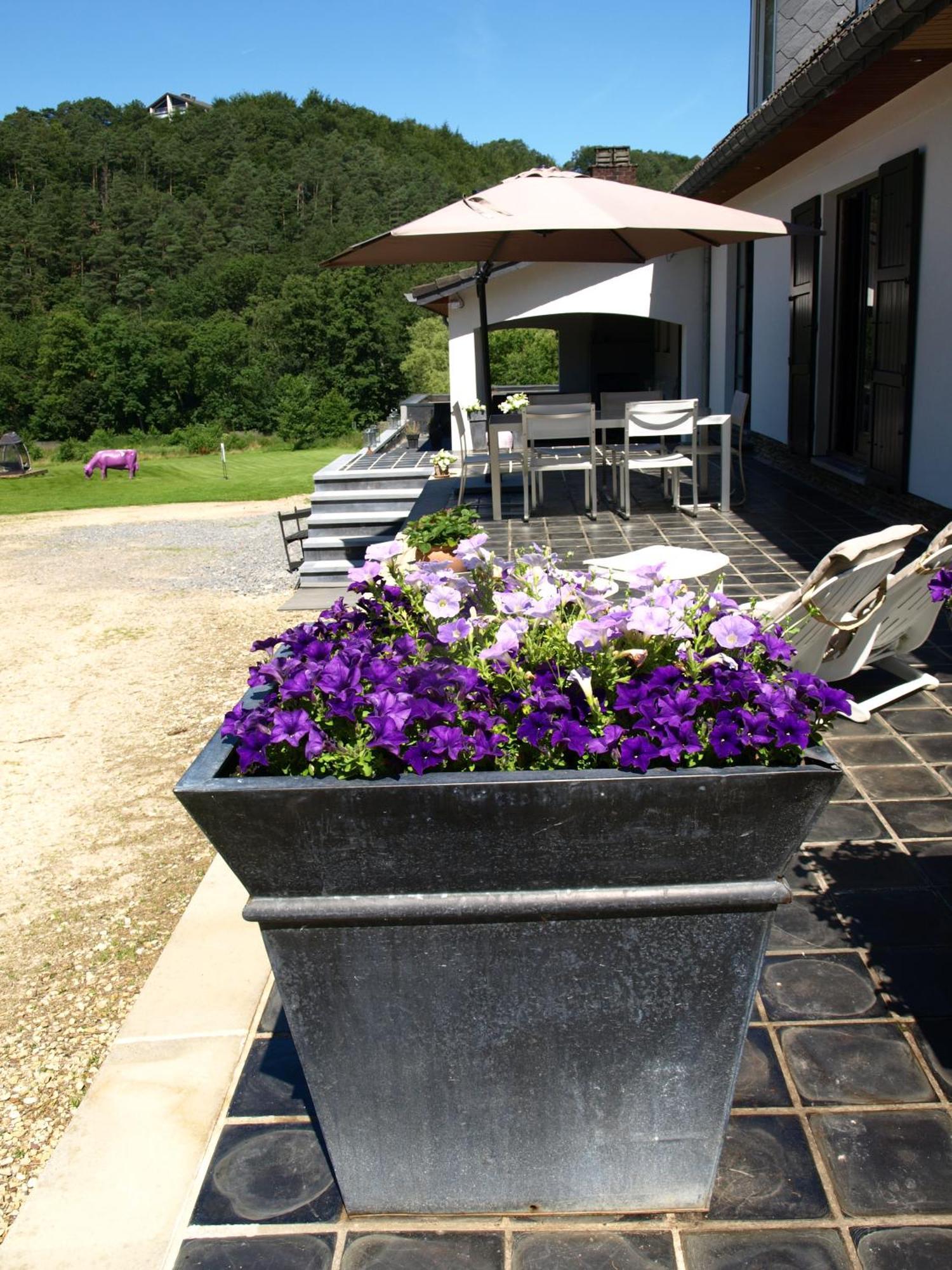 Studio & Appartement Au Lac Sart-lez-Spa Luaran gambar