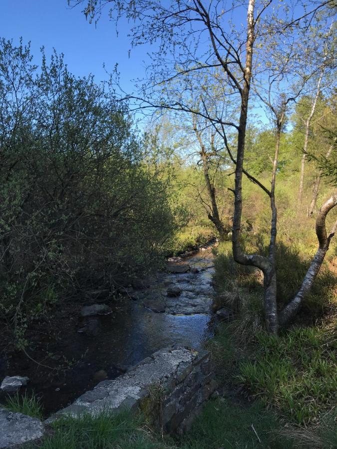 Studio & Appartement Au Lac Sart-lez-Spa Luaran gambar